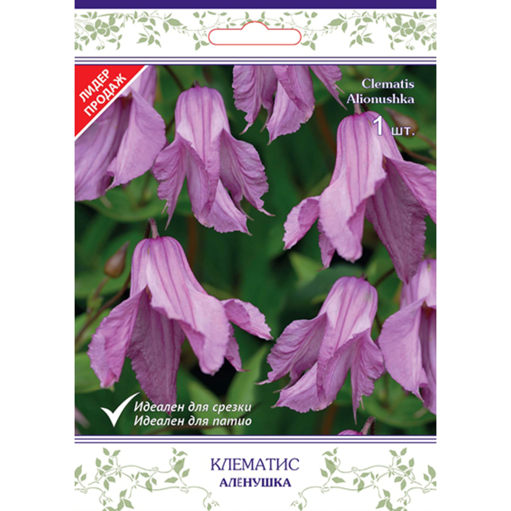 83431391 Клематис ботанический Алёнушка h15 см Santreyd 