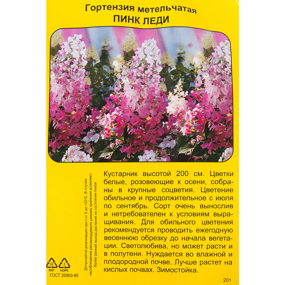 Гортензия метельчатая Пинк леди h40 см Поиск 83786879 STLM-2176710 Santreyd  - Вид №3