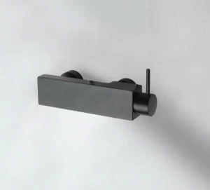 Смеситель для душа (Black) ARC F96061K-01-ENG bravat