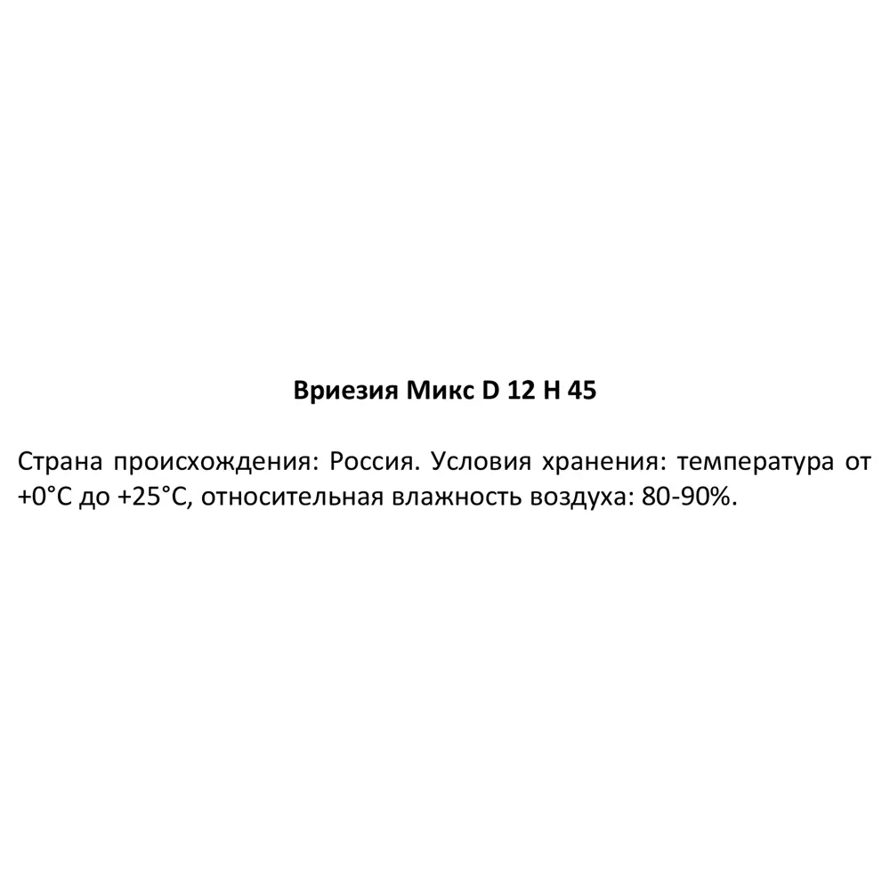 Вриезия микс Santreyd - яркий тропический акцент для интерьера 83738758 STLM-0956900 - Вид №4