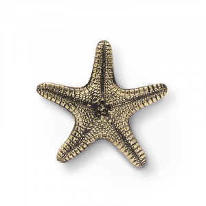 OC2013 Linckia PULLCAST Ocean Collection