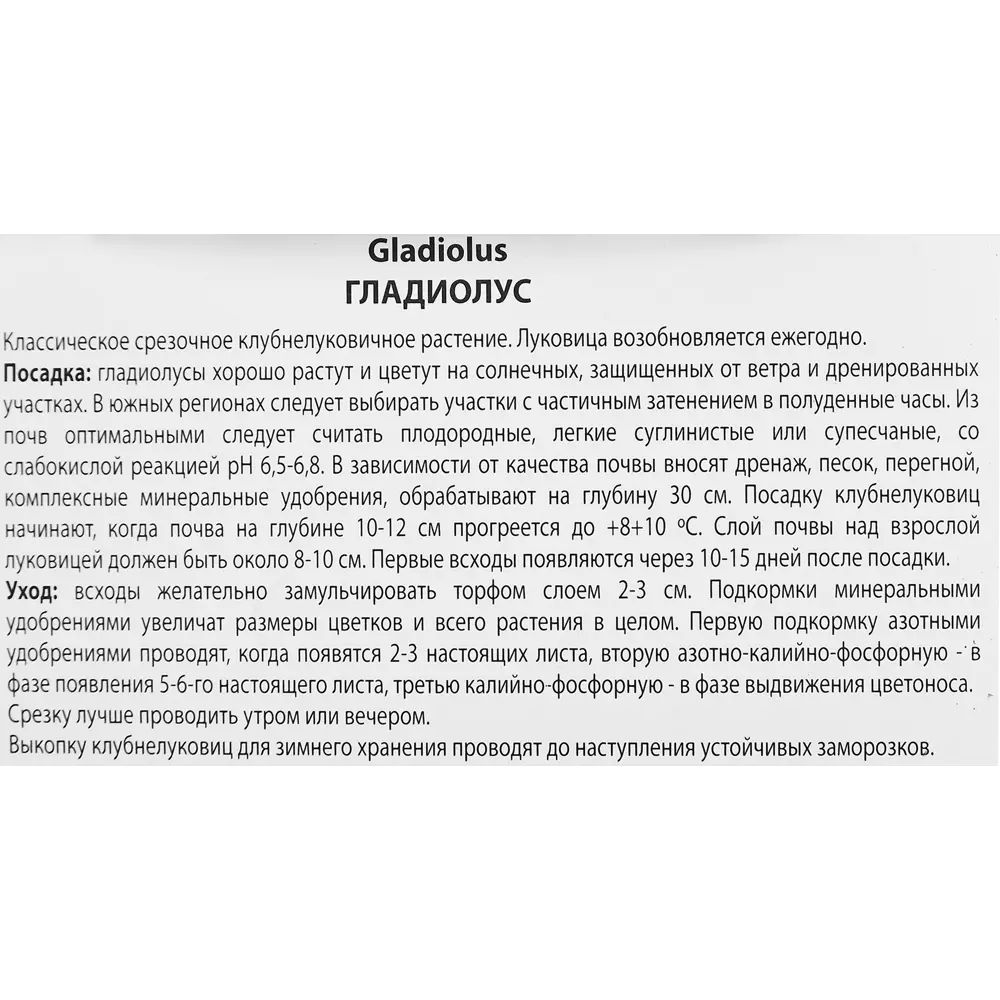 Гладиолус крупноцветковый Шоуберд, 3 шт. 89351798 STLM-2156408 ПОИСК  - Вид №2