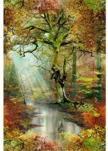 LELIEVRE Флизелиновые обои с пейзажами Jean paul gaultier - pop rock 3337