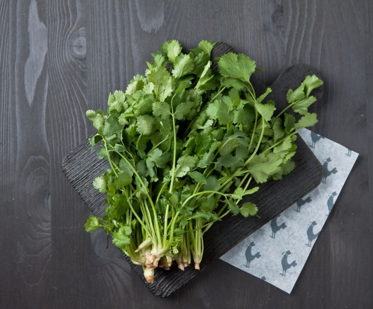 8417 Кинза Вкусляндия  - Вид №2