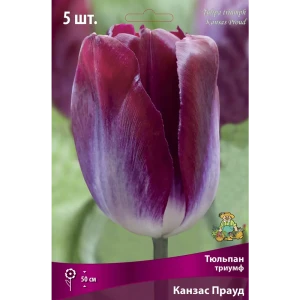 Тюльпан Триумф Канзас прауд луковица 12/14, 5 шт. 88294824 STLM-2124051