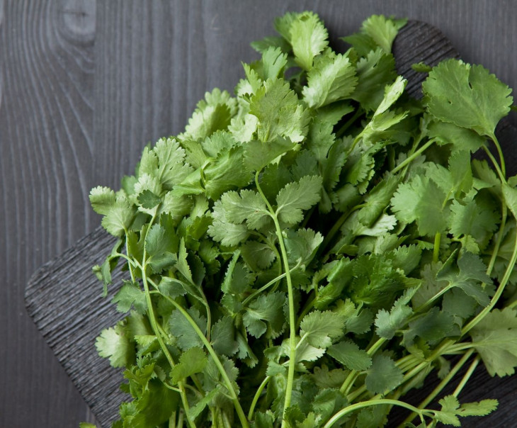 8417 Кинза Вкусляндия  - Вид №1