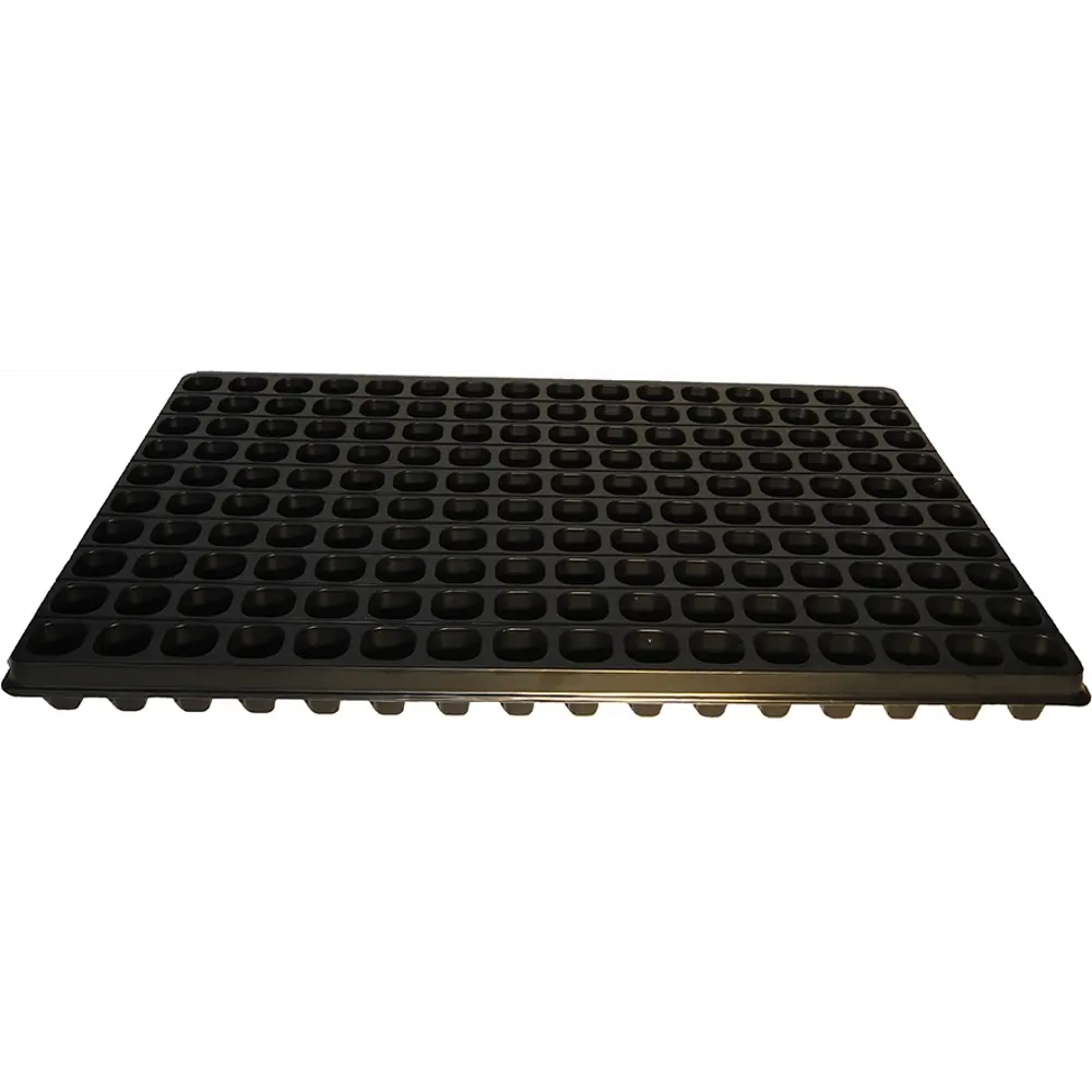 Кассета для рассады 160 ячеек 600x400x45 мм Santreyd STLM-2002530