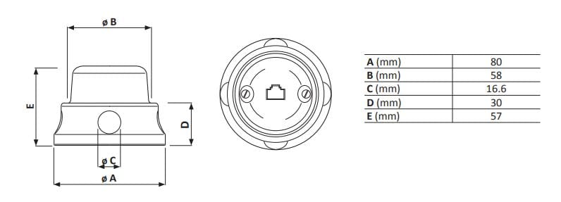 Гнездо данных GI Gambarelli ARCH-00090296 - Вид №2