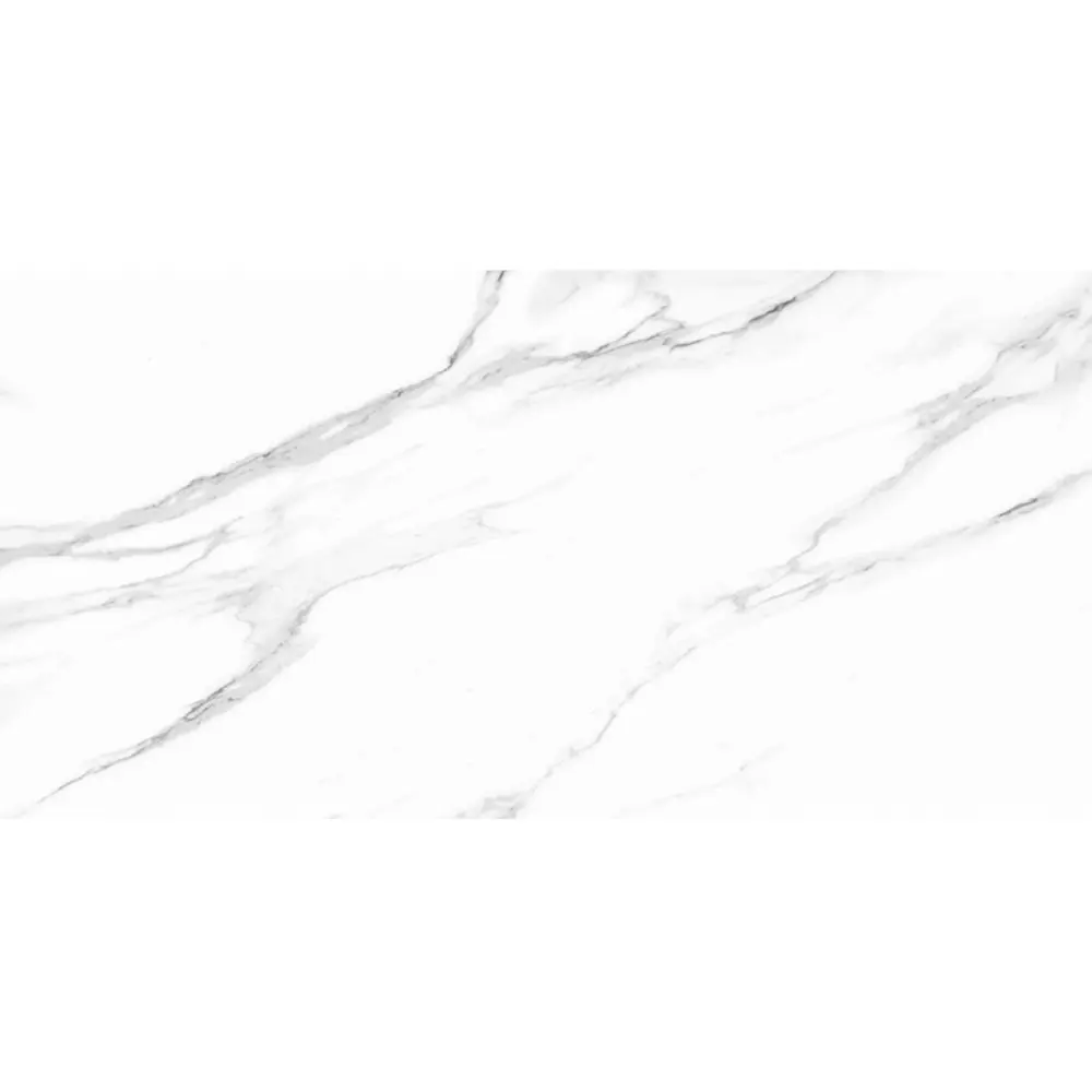 Керамогранит 60x120 calacatta superwhite п 1.44 м² Santreyd ABGRES STLM-2169085 - Вид №1