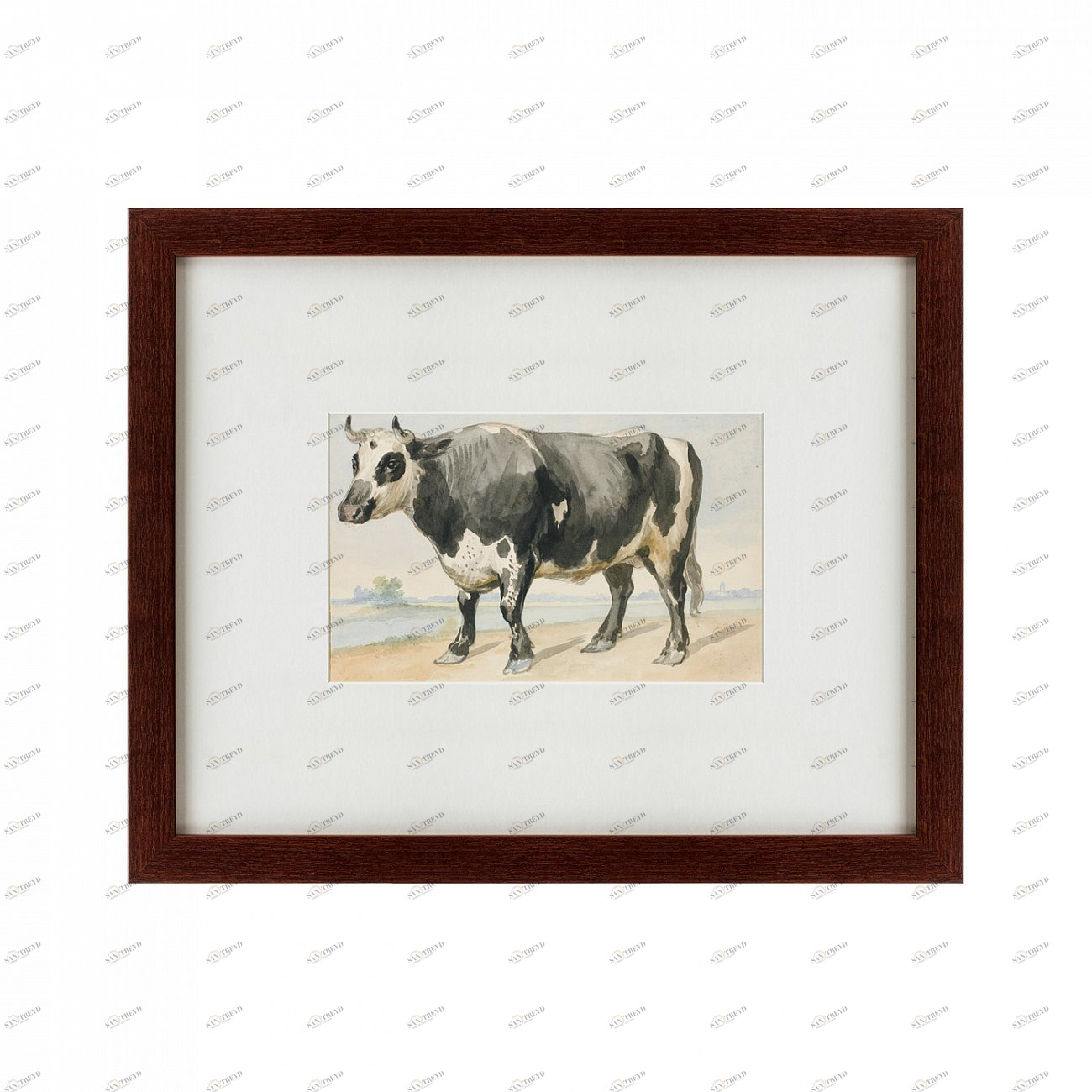 Литография на тонированной бумаге 42х52 см A Friesian bull, 1780 КАРТИНЫ В КВАРТИРУ  135681 Белый;коричневый;разноцветный 