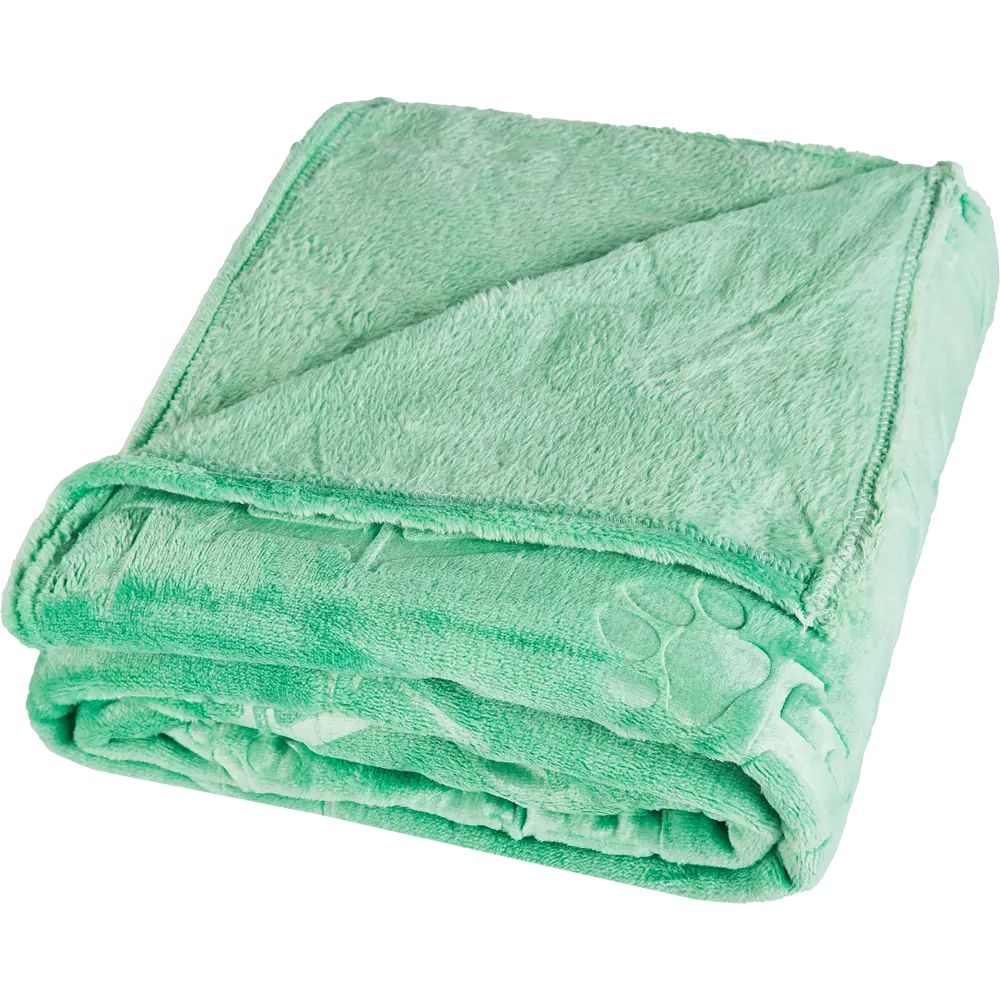 Плед Lapa 150x200 см фланель цвет мятный 87289044 STLM-2107035 Ardenza 