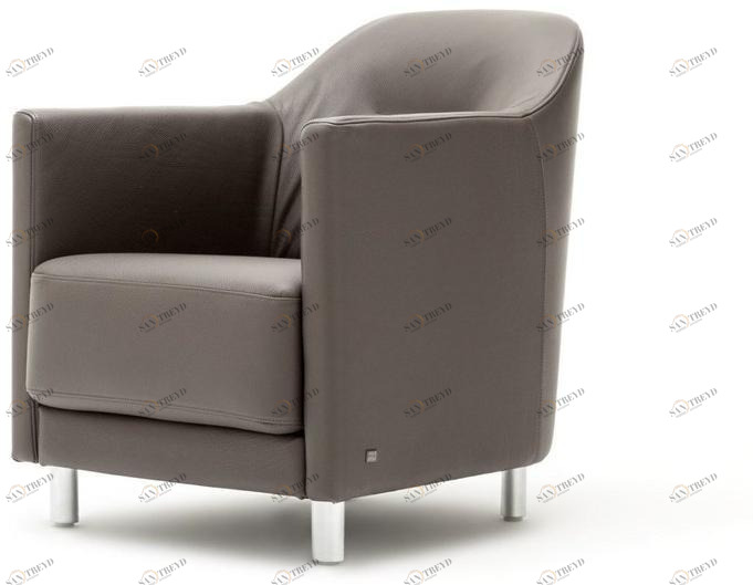 Rolf Benz Кожаное кресло с подлокотниками Rolf benz 005 onda sun-id-1395256
