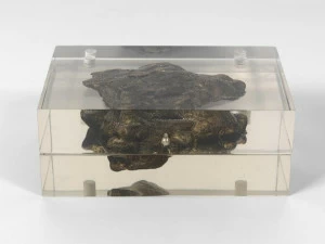 JCP UNIVERSE Контейнер для смолы