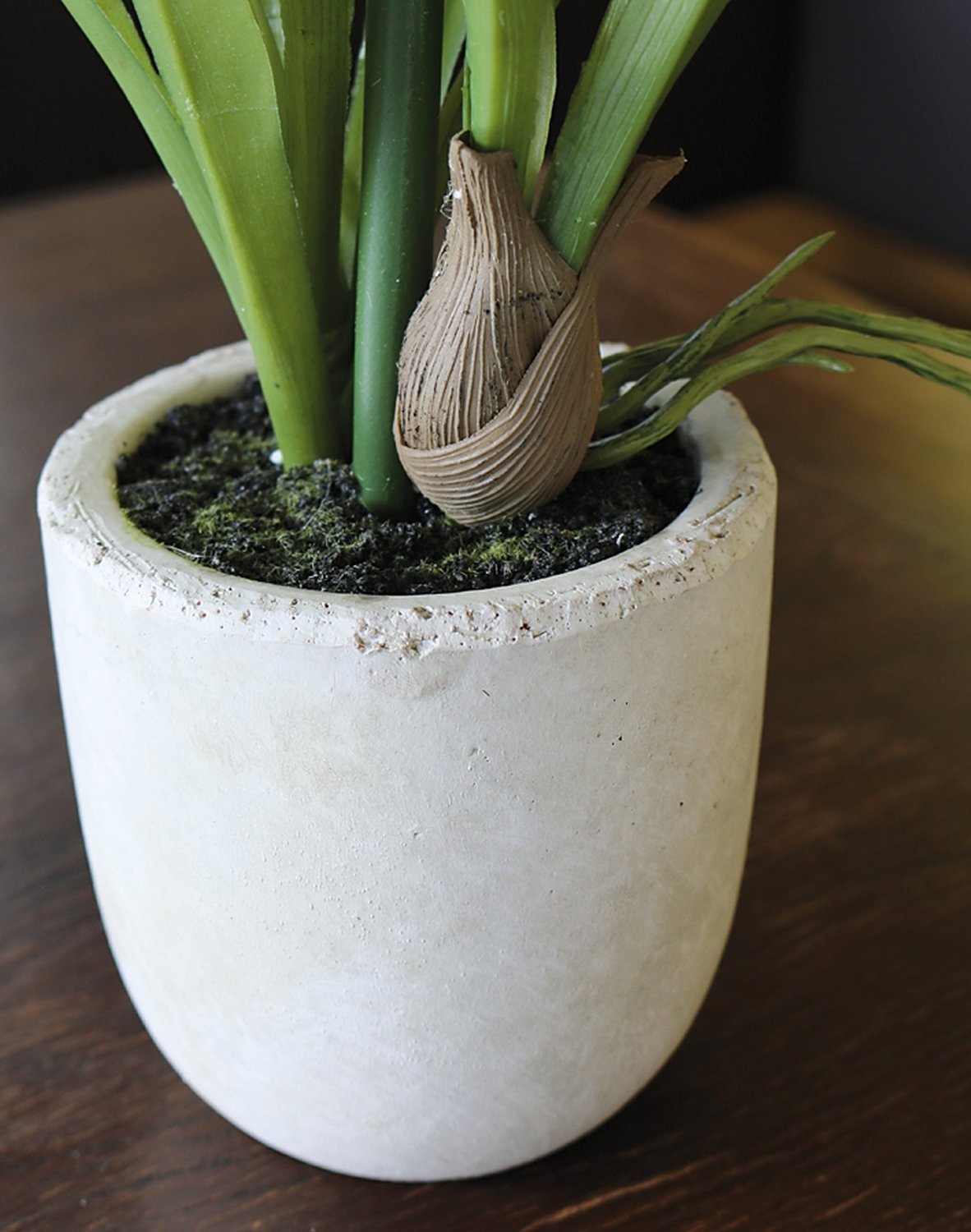 2530 778 a3 Пластиковая орхидея цимбидиум, горшечная, 51 см, real touch soft, бежево-белая H-andreas  - Вид №1