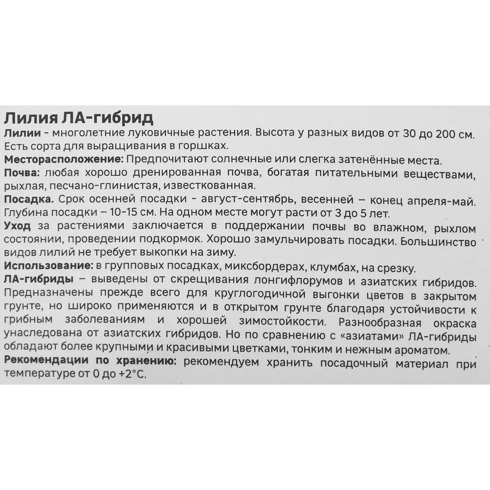Лилия ла-гибрид Голден Тайкун 86408630 STLM-2144458 Santreyd  - Вид №3