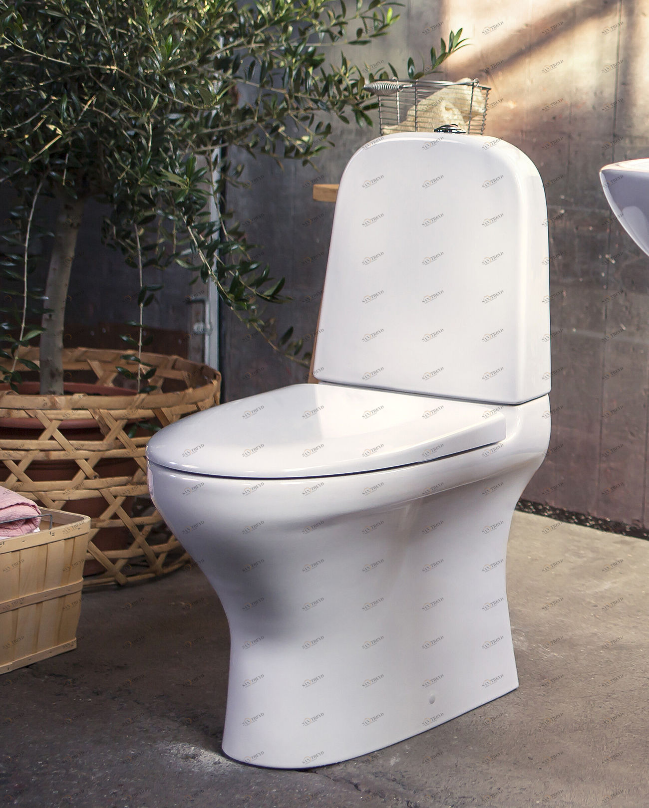 GB1183002R1231G Компакт унитаз с бачком Белый Gustavsberg  Германия 