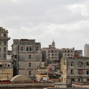 1314/CX38 Картина 1314 Adriani e Rossi