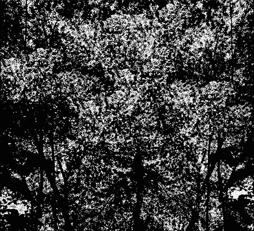 Wall&decò Уличные обои Out system 20 Tb2001 / tb2002 - Вид №1