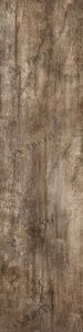LEGNO 16,5х66 CHERRY Rektifiye Parlak Nano Kutahya 776