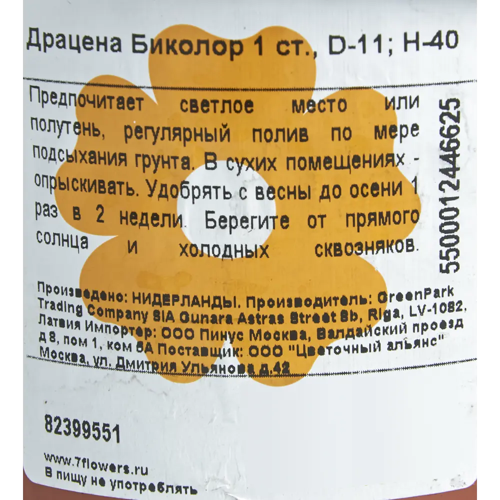 Драцена Биколор 1 ствол 11x40 см 82399551 STLM-2131746 Santreyd  - Вид №2