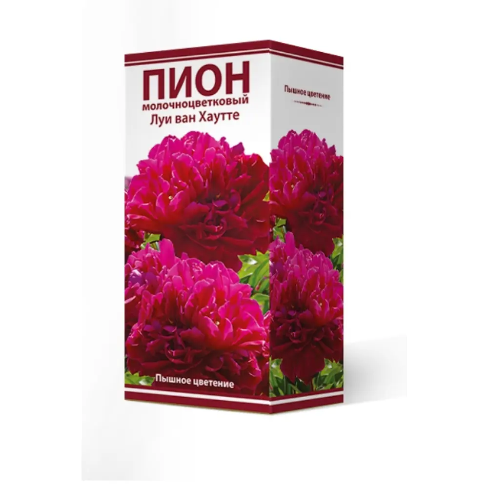 Пион травянистый Луи Ван Хаутте луковица 2-3 83600179 STLM-2100123 Santreyd 