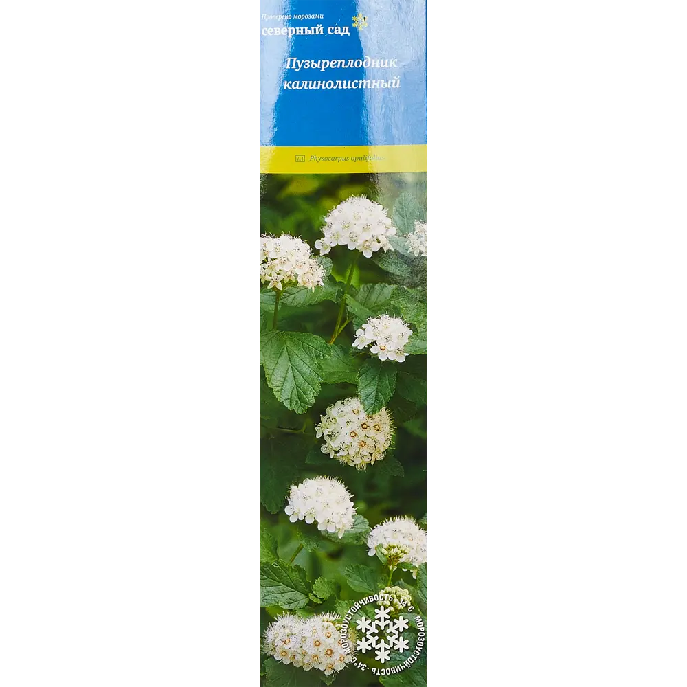 Пузыреплодник Калинолистный h39 см 86543672 STLM-2004663 Santreyd 