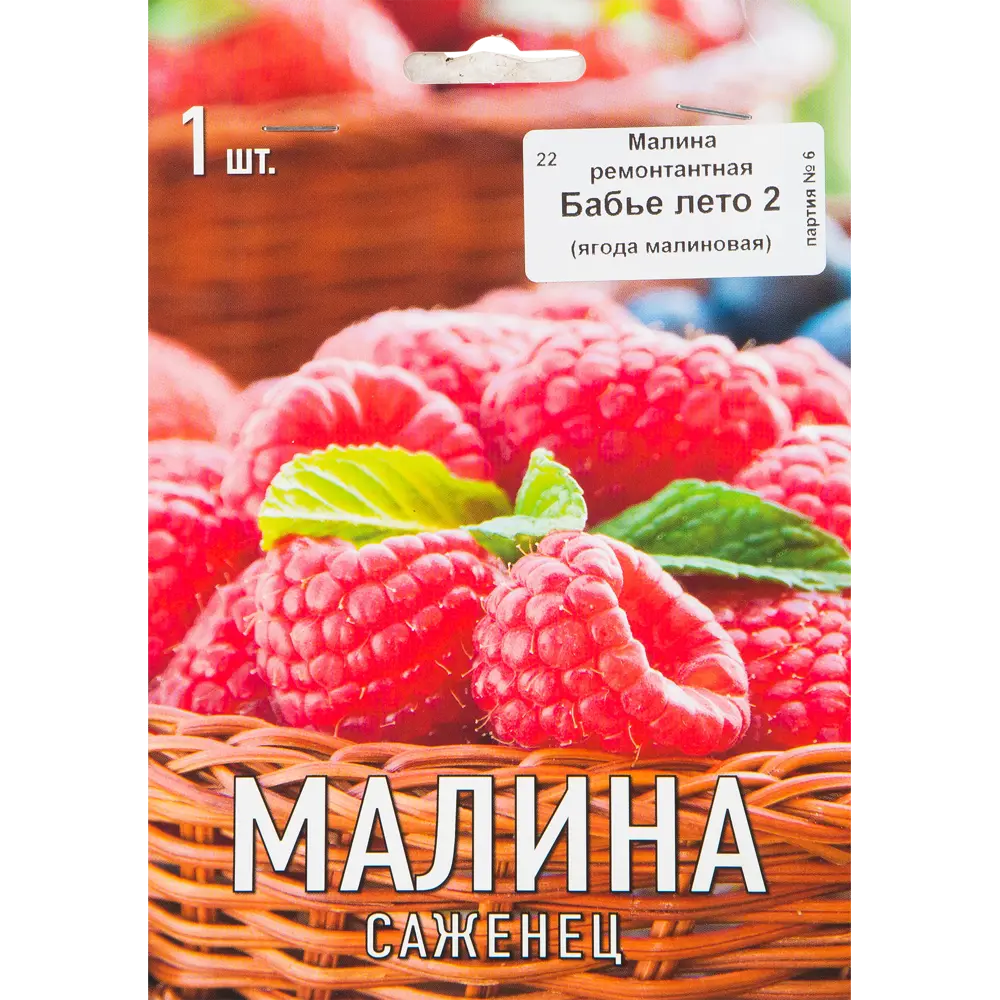 Малина Бабье лето 2 h17 см 83791466 STLM-2195388 Santreyd 