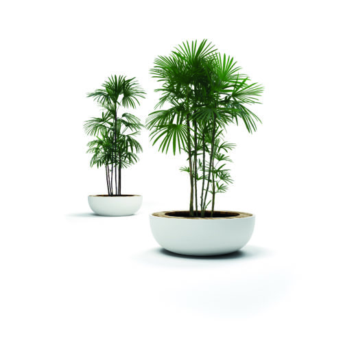 Lid Details Lab23 Плантаторы 