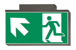 DST-794 Lisu ceiling-mounted Daisalux Светильники аварийные Металлический Серый