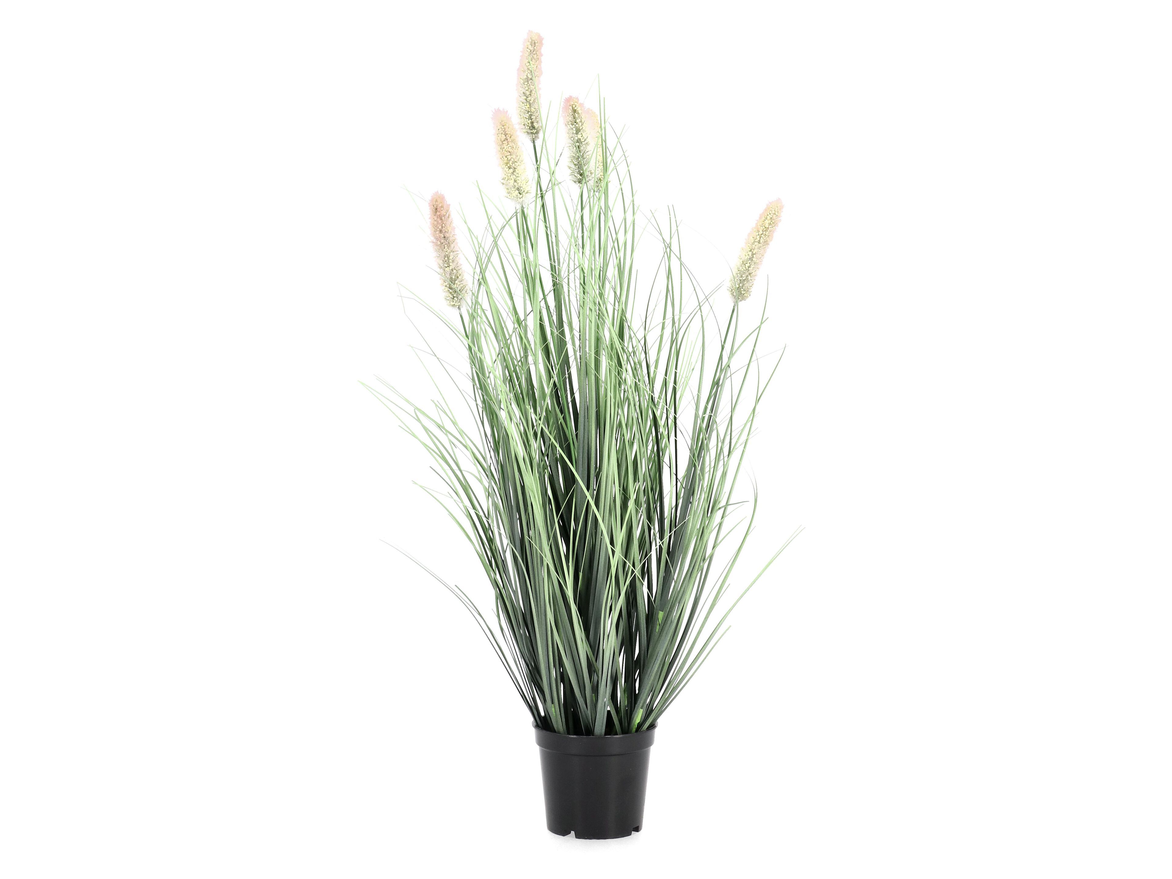 Искусственное растение BIZZOTTO PENNISETUM H61 ARCH-00129433