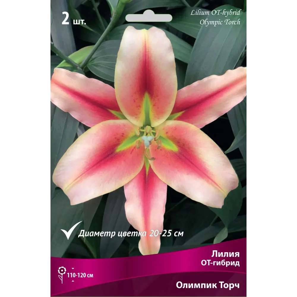 Лилия ОТ-гибрид «Олимпик Торч» размер луковицы 14/16 82662621 STLM-2069883 Santreyd 