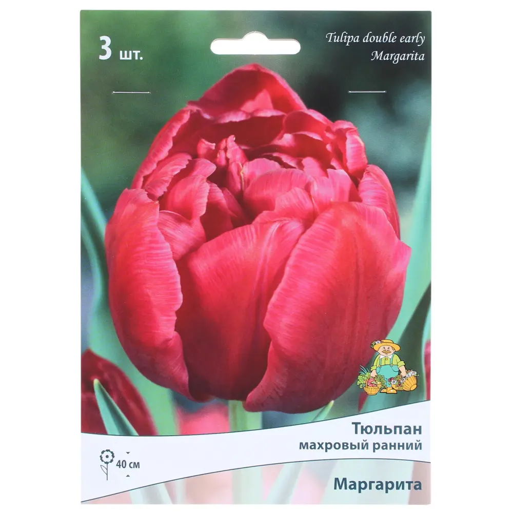 Тюльпан махровый поздний «Маргарита», высота 40 см, 3 шт. 82000225 STLM-2025216 Santreyd 