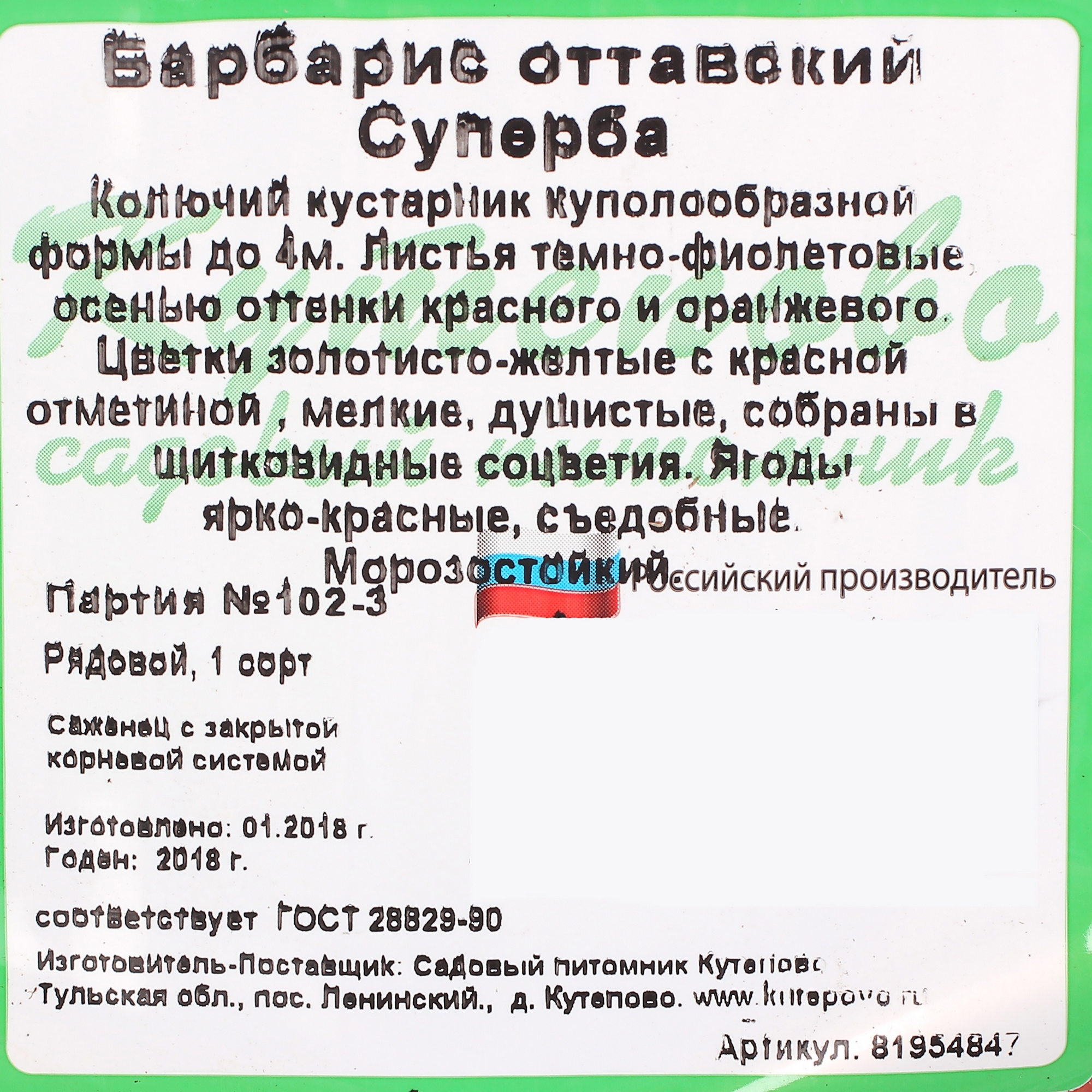 Барбарис Оттавский Суперба Santreyd - декоративный кустарник с пурпурной листвой 81954847 STLM-0015200 - Вид №2