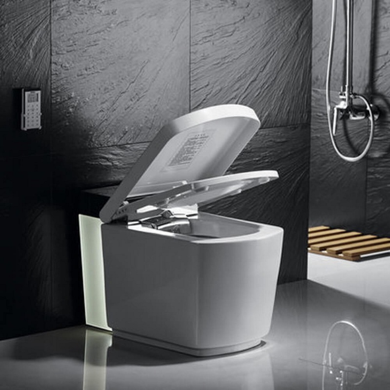 IT-803JAD Электронный унитаз Orans Santreyd  - Вид №1