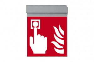 DST-1719 Ikus 2222-t Daisalux Светильники сигнальные Серебристо-Серый