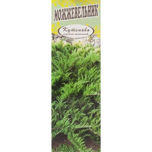 Можжевельник средний «Минт Джулеп» в коробке 82155355 STLM-2005763