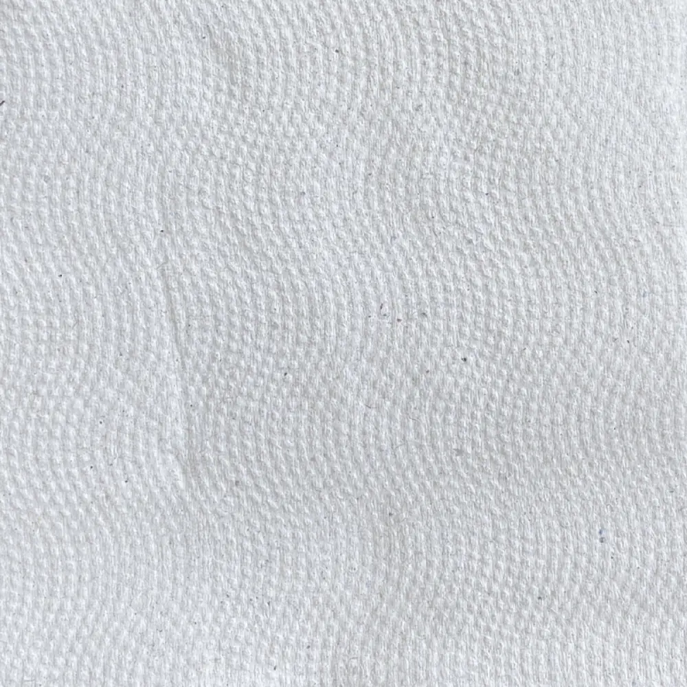 Полотенца бумажные V-Эконом BP18 250 л 20 шт Santreyd STLM-2038773 - Вид №1