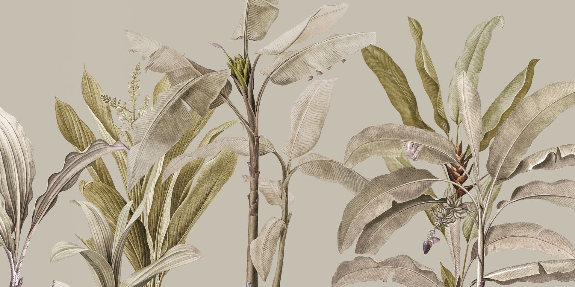 Тропические панорамные обои Rimura 2020 ARCH-00003216 - Вид №6