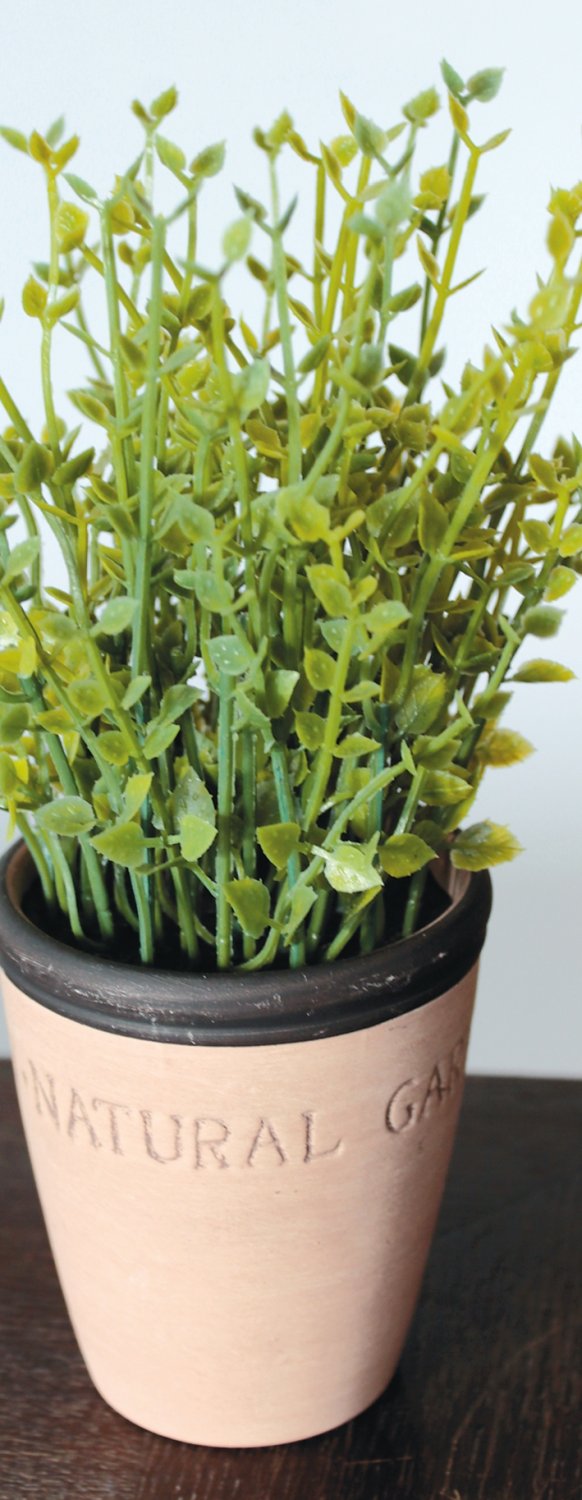 6122 883 a2 Искусственный тимьян в глиняном горшочке, синтетический материал, 20 см, зеленый H-andreas  - Вид №3