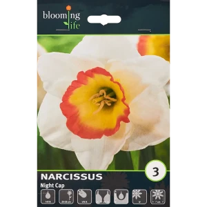 Нарцисс Найт Кэп - луковицы для сада (3 шт.) 88757450
