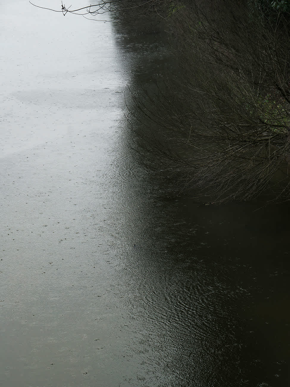 Кресло Exchange Highback Stellar Works EX-S231 - Вид №2