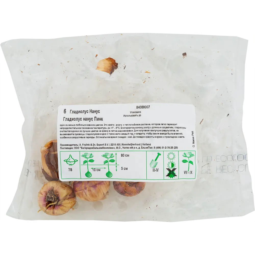 Гладиолус нанус «Пинк», диаметр луковицы 70 мм, 6 шт Santreyd STLM-2183364