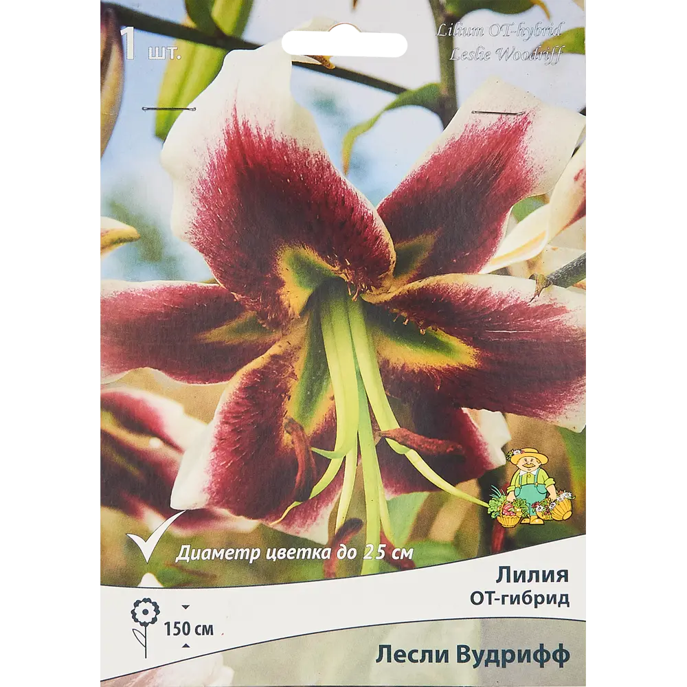 Лилия от-гибрид Лесли Вудрифф 85205726 STLM-2116220 ПОИСК 
