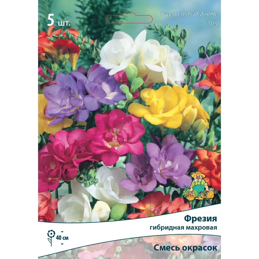 Фрезия махровая ПОИСК - ароматный цветочный микс для сада и дома 82530207 STLM-1479166
