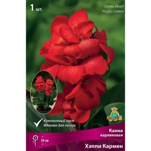 Канна Хэппи Кармен луковица I 83598115 STLM-2175329
