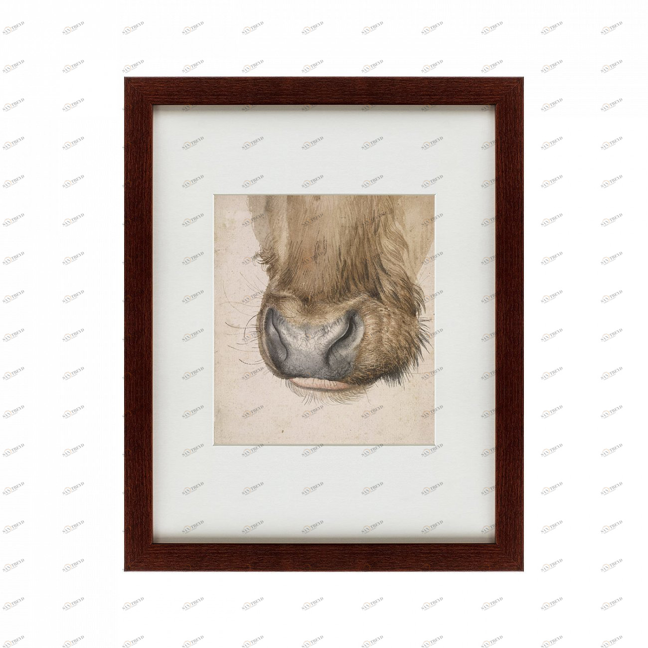 Картина в раме 52х42 см Muzzle of an ox seen from the front, 1527 КАРТИНЫ В КВАРТИРУ  135663 Коричневый 