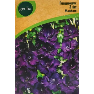 Гладиолус крупноцветковый Момбаса Geolia 3 шт 86408549 STLM-2027666