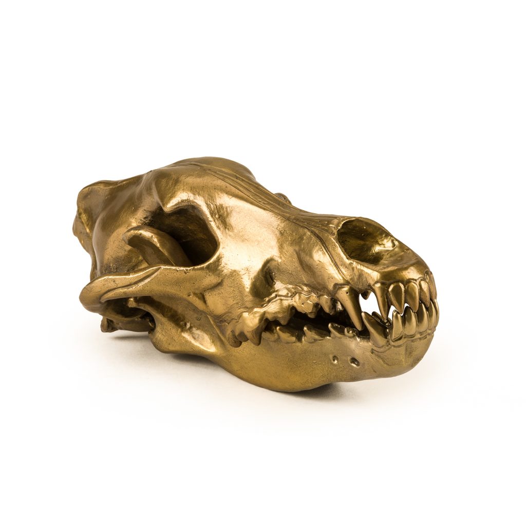 Статуэтка декоративная металлическая 14х28 см золотая Wunderkrammer Wolf Skull SELETTI  00-3883242 Золото  - Вид №1