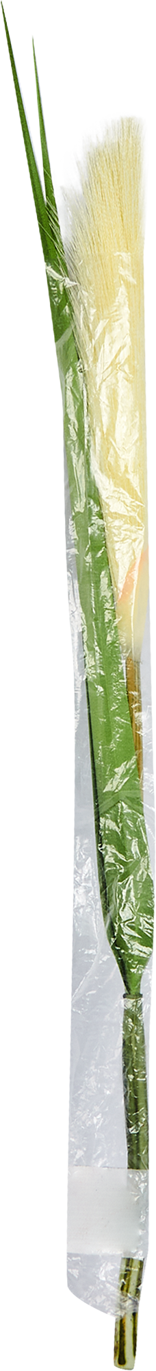 82686502 Растение искусственное Ковыль белый h53 см STLM-0034002 Santreyd  - Вид №4