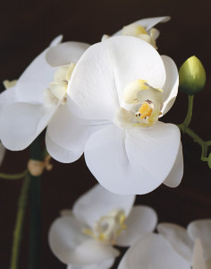 2962 778 a3 Пластиковая орхидея Phalaenopsis в вазе, 29 см, real touch soft, бежево-белая H-andreas